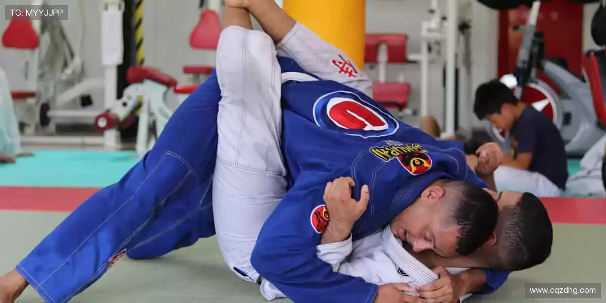 高清画质 + 专业解说，打造沉浸式观赛体验！🎧